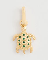 Multi Turtle Charm