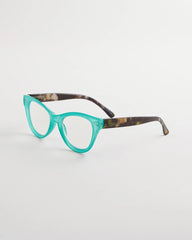 Teal Teal Tortoise Readers